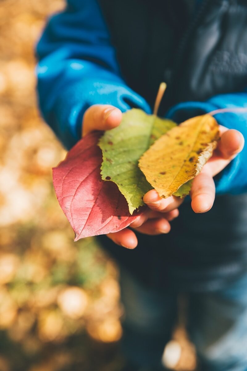 Photo by Markus Spiske three green, yellow, and red leaves on person's hand
